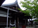 近江 八幡山城の写真