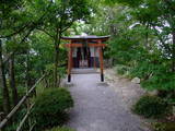 近江 八幡山城の写真