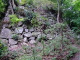 近江 八幡山城の写真