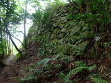 近江 八幡山城の写真