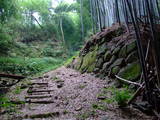 近江 八幡山城の写真