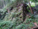 近江 八幡山城の写真