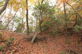 近江 八幡山城の写真