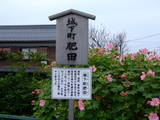 近江 肥田城の写真