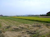 近江 肥田城の写真