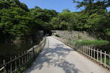 近江 彦根城の写真