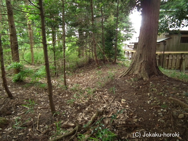 近江 平子館の写真