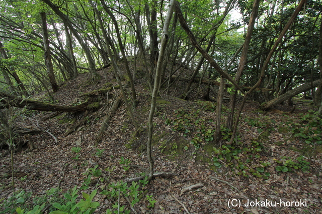 近江 日爪城南砦の写真