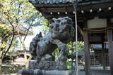 近江 保延寺館の写真