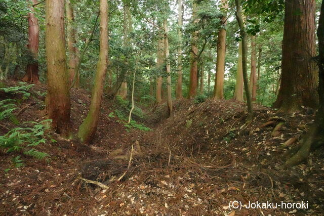 近江 百済寺城の写真