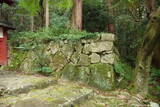 近江 百済寺城の写真