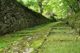 近江 百済寺城の写真