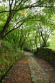 近江 百済寺城の写真