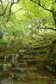 近江 百済寺城の写真