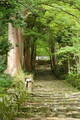 近江 百済寺城の写真