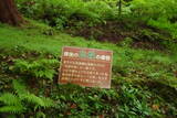 近江 百済寺城の写真