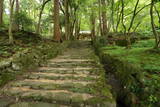 近江 百済寺城の写真