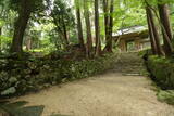 近江 百済寺城の写真