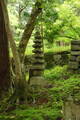 近江 百済寺城の写真
