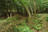 近江 百済寺城の写真