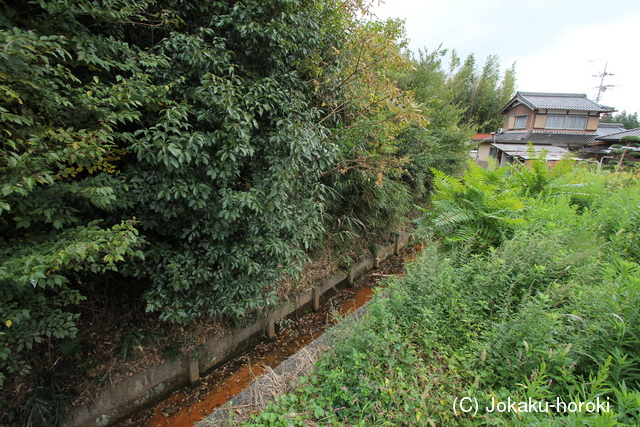 近江 市場陣山城の写真