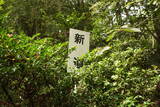 近江 伊井城の写真