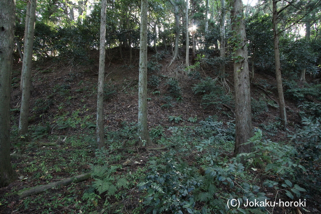 近江 茶臼山砦の写真