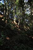 近江 茶臼山砦の写真