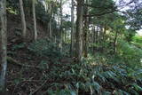 近江 茶臼山砦の写真