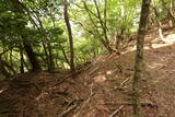 近江 磯野山城の写真