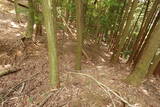 近江 磯野山城の写真