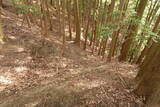 近江 磯野山城の写真