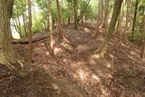 近江 磯野山城の写真