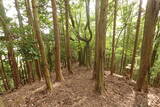 近江 磯野山城の写真
