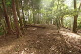 近江 磯野山城の写真
