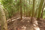 近江 磯野山城の写真