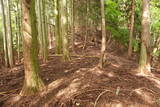 近江 磯野山城の写真