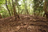 近江 磯野山城の写真