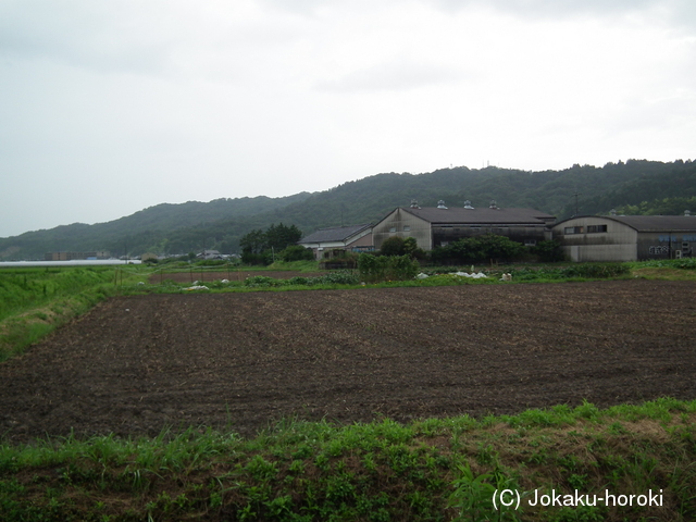 近江 岩根館の写真