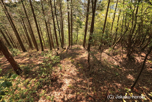 近江 地頭山城の写真