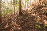 近江 地頭山城の写真