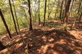近江 地頭山城の写真