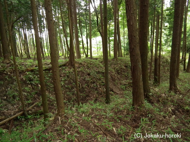 近江 鎌掛山屋敷の写真