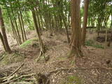 近江 鎌掛山屋敷の写真