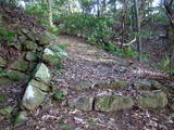 近江 観音寺城の写真