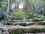 近江 観音寺城の写真