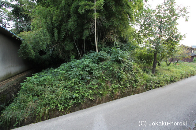 近江 唐川城の写真