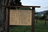 近江 唐川城の写真