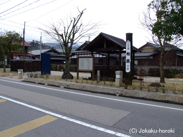 近江 柏原御殿の写真