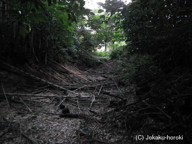 近江 柏木神社遺跡の写真